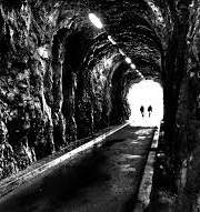 꽃들에게 희망을