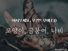 [하이큐/아카쿠로] 어서오세요, 오컬트 부에(3)