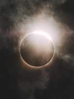 [냇완다] pure blood