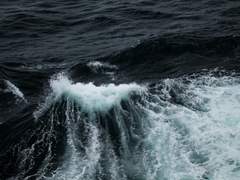 한상우가 중경에게 손을 뻗는다.