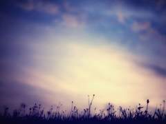 [엑스맨 드림/찰스 자비에 드림/프로페서 X 드림]에필로그