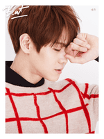 하이라이트/HIGHLIGHT