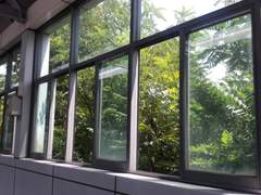 이 미친날씨의 여름을 좋아할지도 모르겠다.