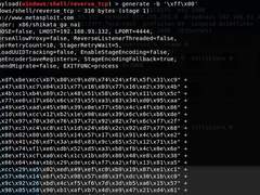 Metasploit으로 Shellcode 생성하기