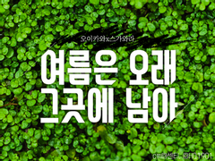 [오이스가] 여름은 오래 그곳에 남아 02