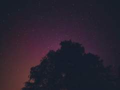 [지수×정한] 행궁견월상심색(行宮見月傷心色)