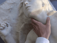 찬란하게 빛나는 영광의 날개로