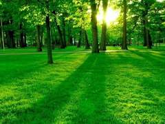 [엑스맨 드림/찰스 자비에 드림/프로페서 X 드림]심록의 연인 上