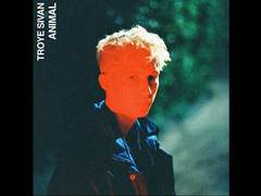 Troye Sivan - Animal (가사/번역/해석)