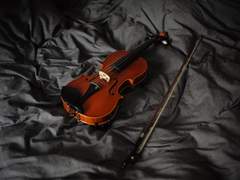 개를 위한 마카롱 2 프롤로그