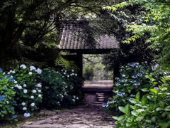 [ 2019 중넓끝죽 온리전 / 관윱 트리플지 '종천지모'] 이음매