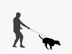 [야스마이]개를 길들이는 법