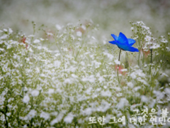 그것은 불신이자,