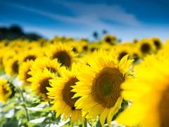 당신에게 전하는