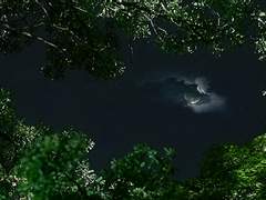 [사쿠아이] 상사화 - 아홉 장