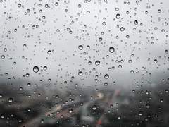 [해은] 달빛 아래서