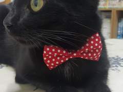 Step 1. 첫 만남 01