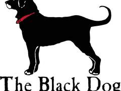 Black Dog (중)