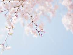 [토니피터] 바람부는 날 1