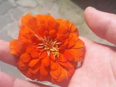 지하철에서 귀여운 애기 만났다!