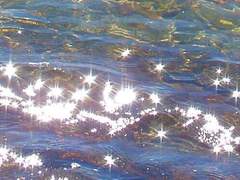 내 고향 바다에게