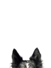 무엇이 되지 않더라도