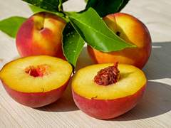 [젊토니피터] 아삭아삭 1