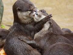 구독을 해 주시는 분들께