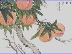 청학동 스캔들 ( 四 )