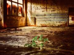 [블레이드/하지켄] 마지막 선물