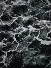 들개들의 저녁 식사