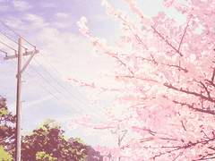 [조각글] 어느 아침