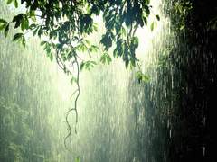 [자반리신]비오는 날