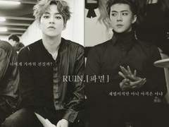 [세슈]RUIN:파멸.10