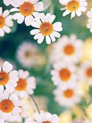 열아홉, 스물다섯(完)