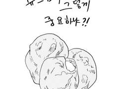 슈크림이 그렇게 중요하냐?!