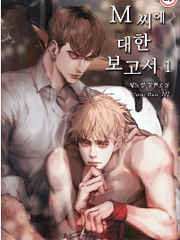 M 씨에 대한 보고서