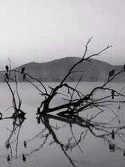 합작 '세 사람의 무덤' 출토 유물