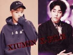 [슈른]XIUMIN X-FILE