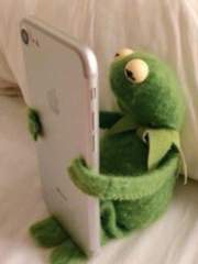 공지 라기엔 주저리