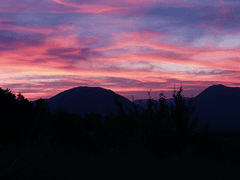 [나츠메 우인장] 추우(秋雨)