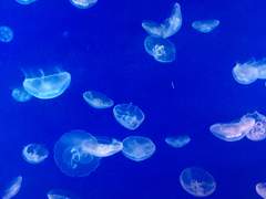 자살을 갈망하는 그 끝에서 너, 그리고 나는 무엇을 생각하고 있었을까