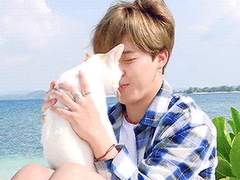 난 니 하얀 고양이