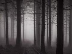 첫 번째 이야기.