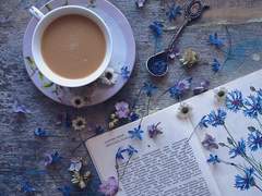 다시, 봄의 시작.