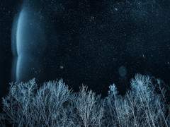 Dr.김의 휴가 [The Vacation.]