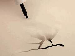 [M] : 누가, 울새를 죽였나 ?