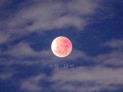 스물, 다섯 上 (for. 느린)