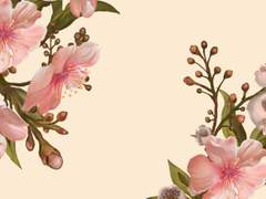 [JK] 전비서 연애기 ep.02