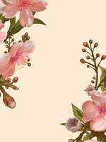 JK 전비서 연애기